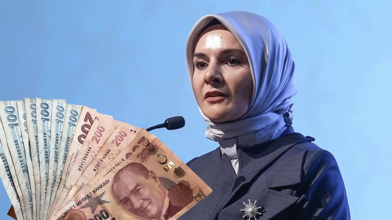 e-Devlet’te Yeni Sosyal Yardım Sayfası Açıldı! Ailelere 23.404 TL Nakit Destek