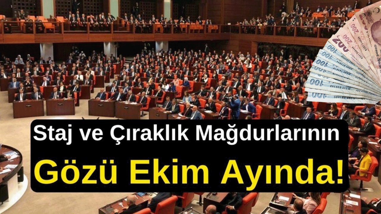 Staj Mağdurları İçin Yeni Dönem Başlıyor, Yasa Kabul Edilirse Emeklilik Erken Gelecek! TBMM’de Tarihi Teklif Sunuldu