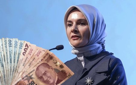 e-Devlet’te Yeni Sosyal Yardım Sayfası Açıldı! Ailelere 23.404 TL Nakit Destek