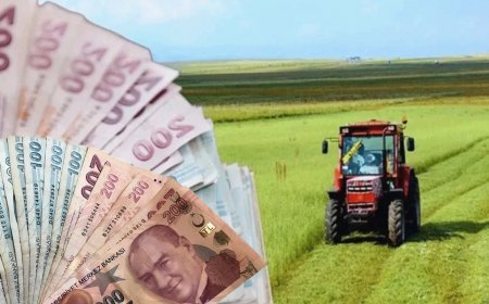 Çiftçilere Müjde! 320,6 Milyon TL Destek Bugün Hesaplarda