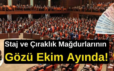 Staj Mağdurları İçin Yeni Dönem Başlıyor, Yasa Kabul Edilirse Emeklilik Erken Gelecek! TBMM’de Tarihi Teklif Sunuldu