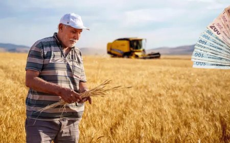 Çiftçilere 2,5 Milyar Lira Kuraklık Tazminatı Ödemesi Yapıldı