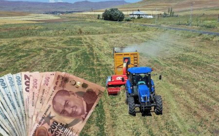 Cuma Günü Çiftçilere Ulaştırılacak! Mazot, Gübre ve Fidan Desteği Detayları Açıklandı